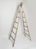Antique French Fruit Picker ladders