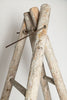 Antique French Fruit Picker ladders