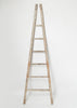Antique French Fruit Picker ladders