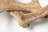 Pair Vintage Fallow Deer antlers (natually shed)