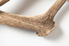 Pair Vintage Fallow Deer antlers (natually shed)