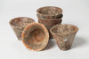 Antique French Pine Resin Terracotta pots