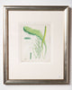 Antique 19th century hand coloured seaweed prints in bespoke silver gilt frames