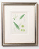 Antique 19th century hand coloured seaweed prints in bespoke silver gilt frames