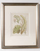 Antique 19th century hand coloured seaweed prints in bespoke silver gilt frames