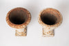 Pair small antique french cast iron urns with original paint