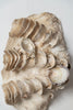 Large Vintage Ruffle giant clam shells