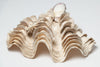 Large Vintage Ruffle giant clam shells