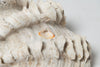 Large Vintage Ruffle giant clam shells