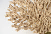 Large antique coral piece