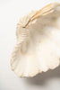 Beautiful Vintage Ruffled clam shells