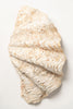 Beautiful Vintage Ruffle clam shells