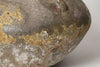 Beautiful Barnacled terracotta jar lamps
