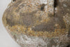 Beautiful Barnacled terracotta jar lamps
