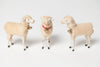 Rare collection antique German Putz sheep