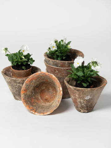 Antique French Pine Resin Terracotta pots