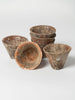 Antique French Pine Resin Terracotta pots