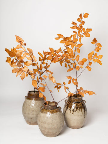 Beautiful Chinese glazed preserve jars