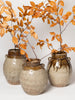 Beautiful Chinese glazed preserve jars