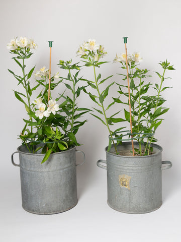 Vintage Hungarian zinc buckets