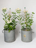Vintage Hungarian zinc buckets