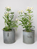 Vintage Hungarian zinc buckets