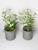 Vintage Hungarian zinc buckets