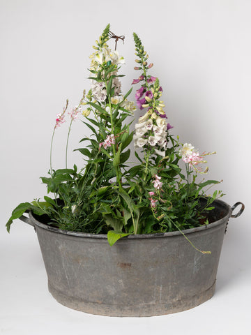 Vintage Belgian large galvanised bath/planter