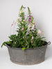 Vintage Belgian large galvanised bath/planter