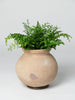 Vintage terracotta water carrying pot on stand