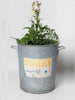 Vintage French Galvanised Zinc Steriliser bucket with label