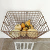 Vintage French Oyster basket