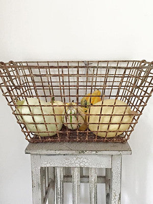 Vintage French Oyster basket