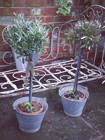 Vintage Galvanised Small buckets - Decorative Antiques UK  - 1