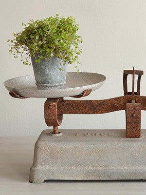 Antique French Force Weighing Scales - Decorative Antiques UK  - 1