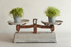 Antique French Force Weighing Scales - Decorative Antiques UK  - 2