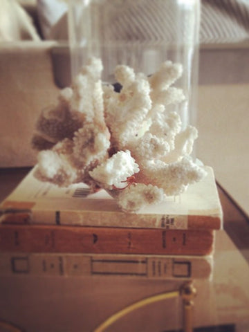 Beautiful Vintage Coral Piece - Decorative Antiques UK  - 1