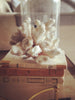 Beautiful Vintage Coral Piece - Decorative Antiques UK  - 1