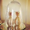 Stunning Pair Mid Century Brass Pineapple Ice Buckets/Containers - Decorative Antiques UK  - 4