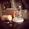 Beautiful Vintage Coral Piece - Decorative Antiques UK  - 3