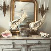 Lovely Large Conch Shell - Decorative Antiques UK - 8