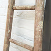 Antique French Fruit Picker Rustic Ladder in original paint - Decorative Antiques UK  - 6