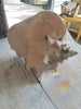 Lovely Large Conch Shell - Decorative Antiques UK - 9