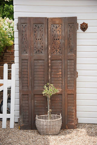 Rare Beautiful Pair 19th Century French Shutters with original paint - Decorative Antiques UK - 1