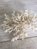 Gorgeous Collection of Vintage White Coral - Decorative Antiques UK  - 5