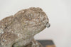 Vintage Stone Frog garden ornament - Decorative Antiques UK - 5