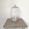 Vintage Glass Bell Cloche - Decorative Antiques UK  - 3