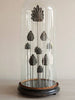 Stunning Antique French Lead Fragments Display Dome - Decorative Antiques UK  - 1