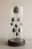 Stunning Antique French Lead Fragments Display Dome - Decorative Antiques UK  - 2