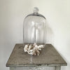 Vintage Glass Bell Cloche - Decorative Antiques UK  - 5